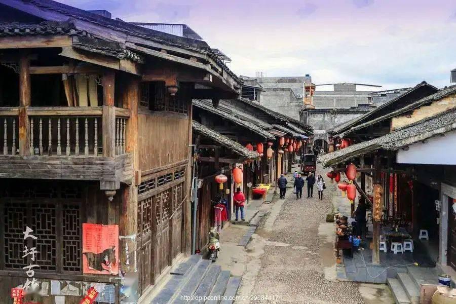 梦想的后院
